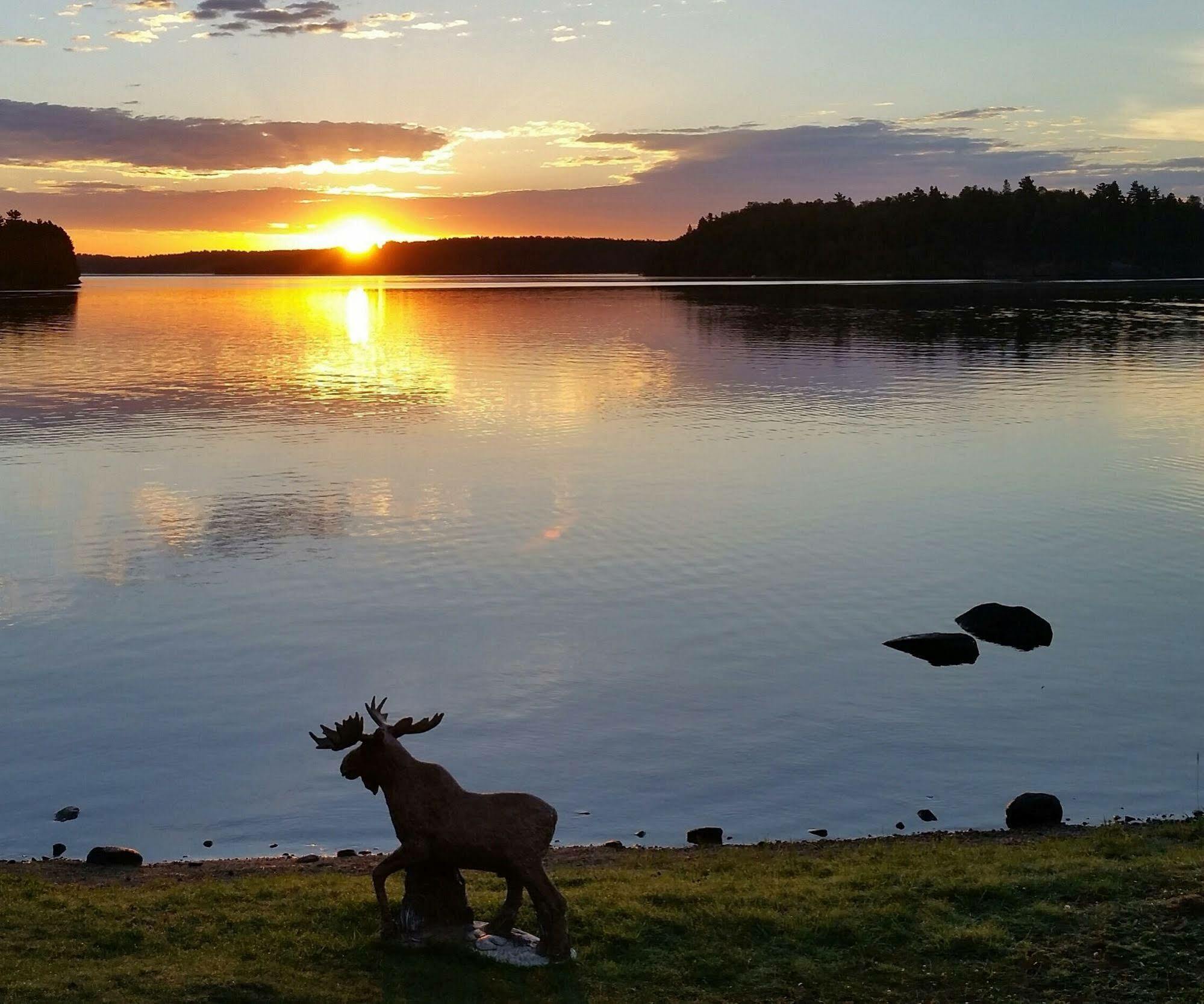 Pine Point Lodge Resort & Motel Crane Lake Exteriér fotografie